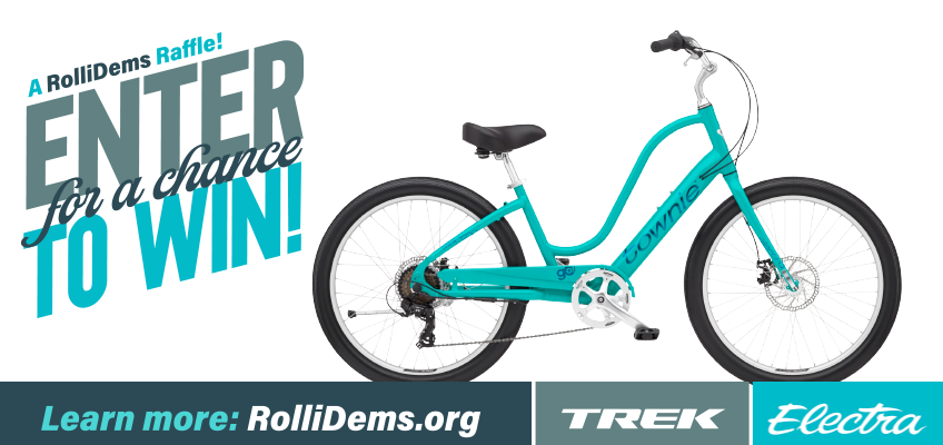 The Rollinsford Democrats are raffling a Trek Townie Go! e-bike!